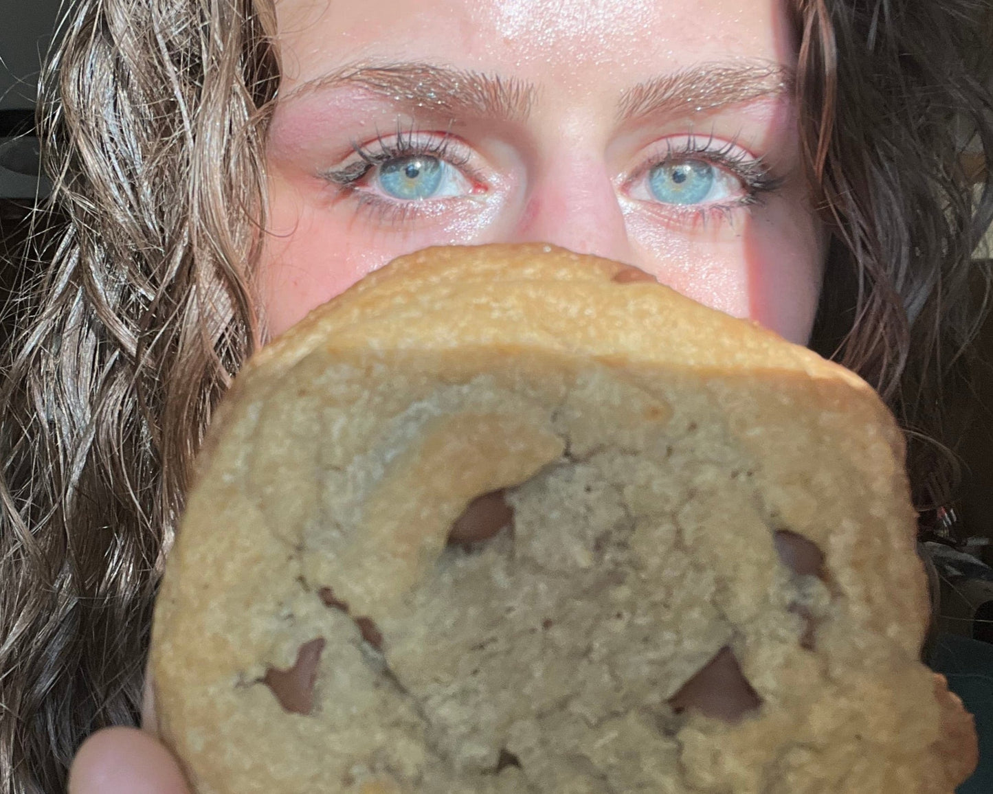 Homemade Chocolate Chip (Milk Chocolate)